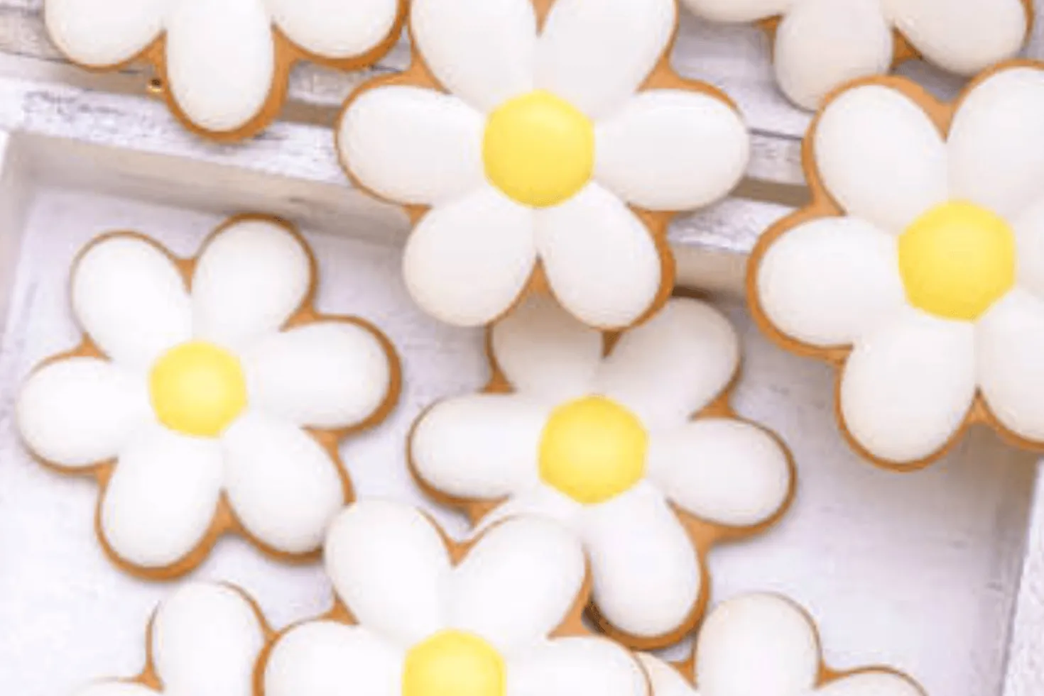 Set de 8 découpoirs professionnels fleurs cannelées polygass
