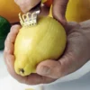 Zesty 4 en 1 multifonction manche en polypropylène avec 2 étuis de protection