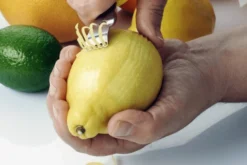 Zesty 4 en 1 multifonction manche en polypropylène avec 2 étuis de protection
